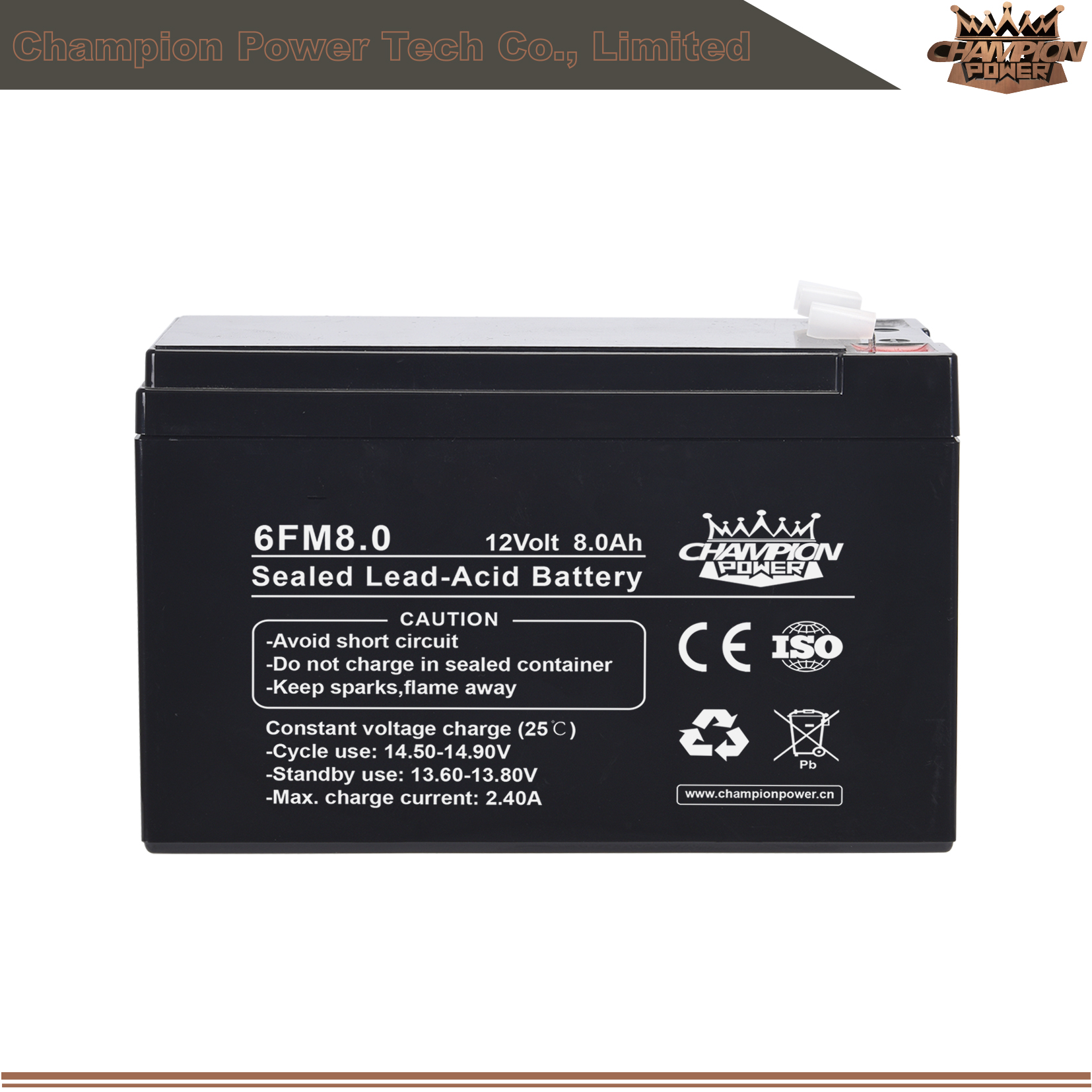 6FM8.0 12V8Ah AGM Battery