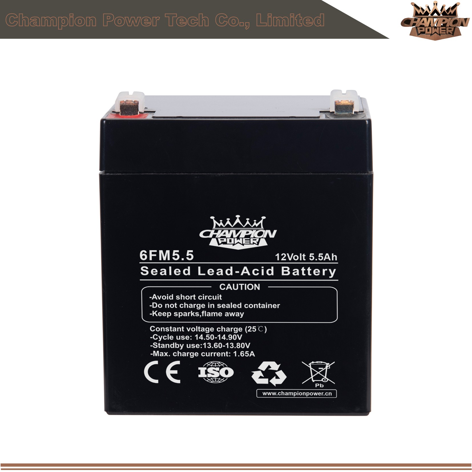 6FM5.5 12V5.5Ah AGM Battery