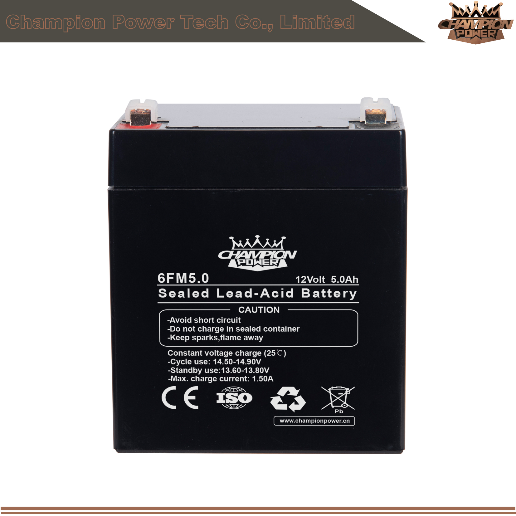 6FM5.0 12V5Ah AGM Battery 